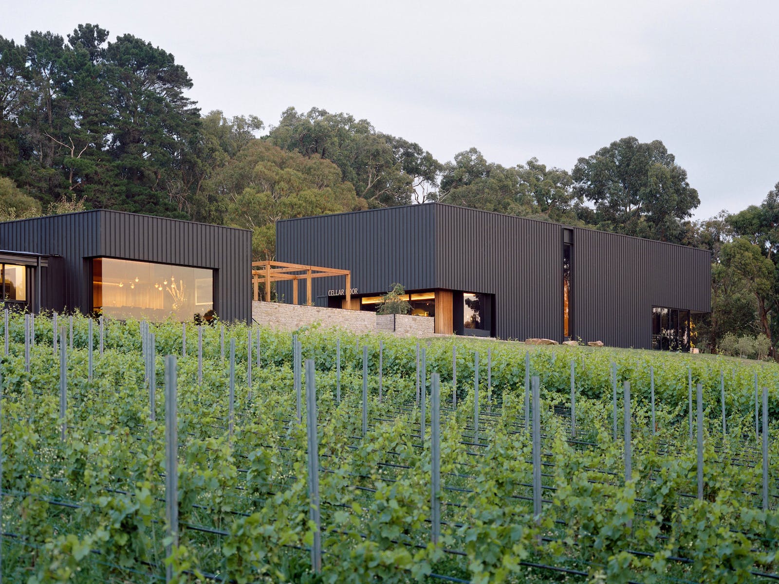 Ten Minutes by Tractor – The Pinnacle of Mornington Peninsula Winemaking