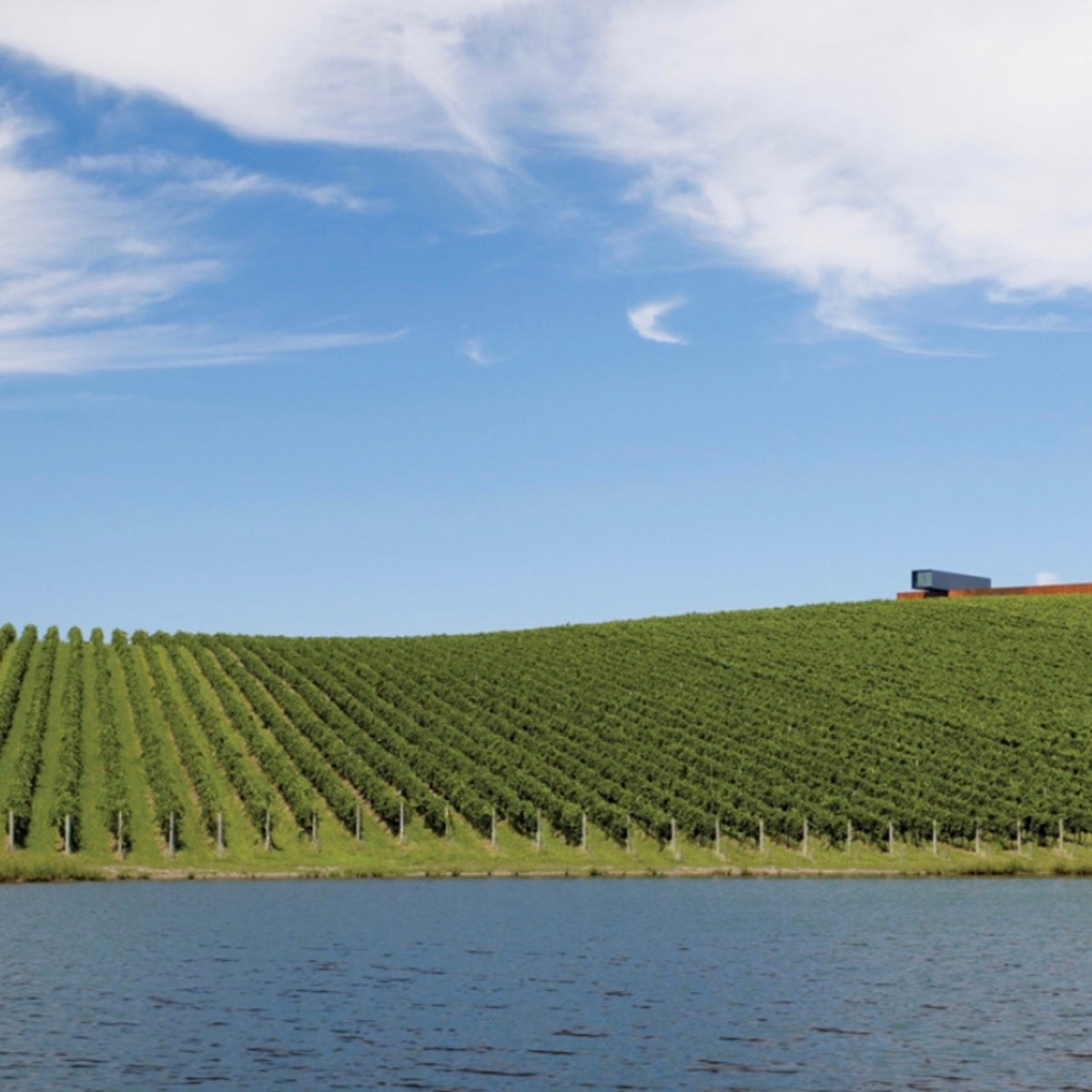 About: Yarra Valley Wine Region