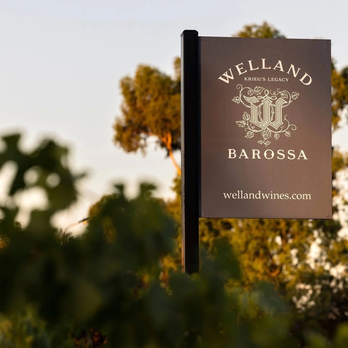 Welland Wines