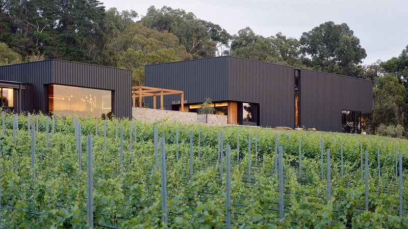 Meet the Winemakers: Ten Minutes by Tractor