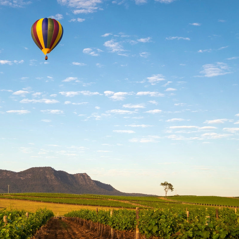 About: The Hunter Valley Wine Region