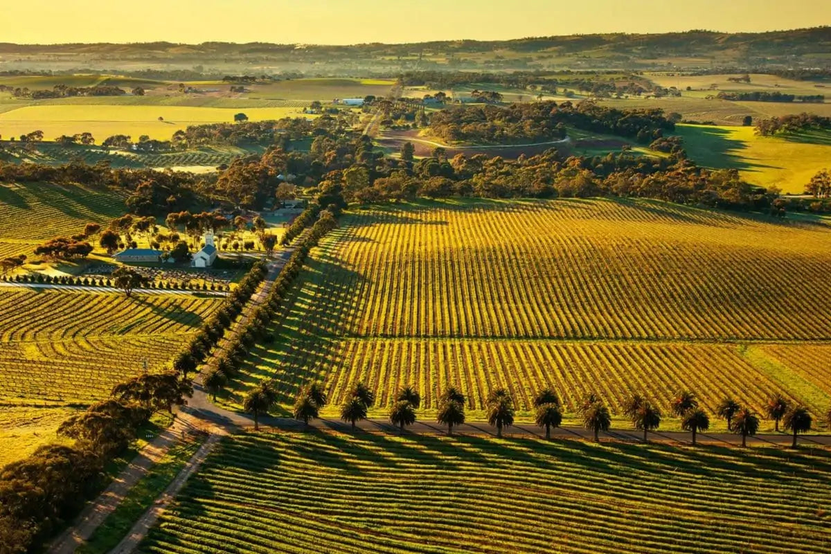 About: Barossa Valley Wine Region