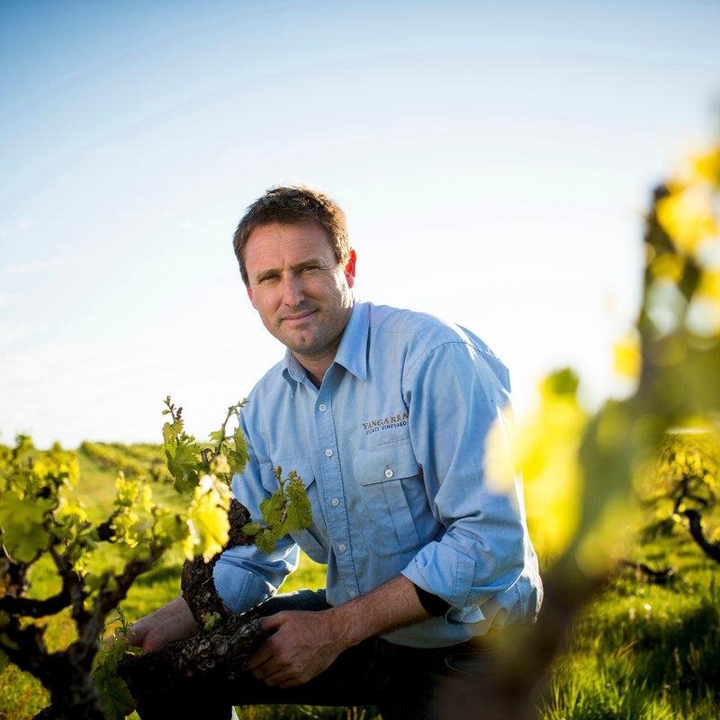 Yangarra Estate Vineyard – Organic & Biodynamic Excellence
