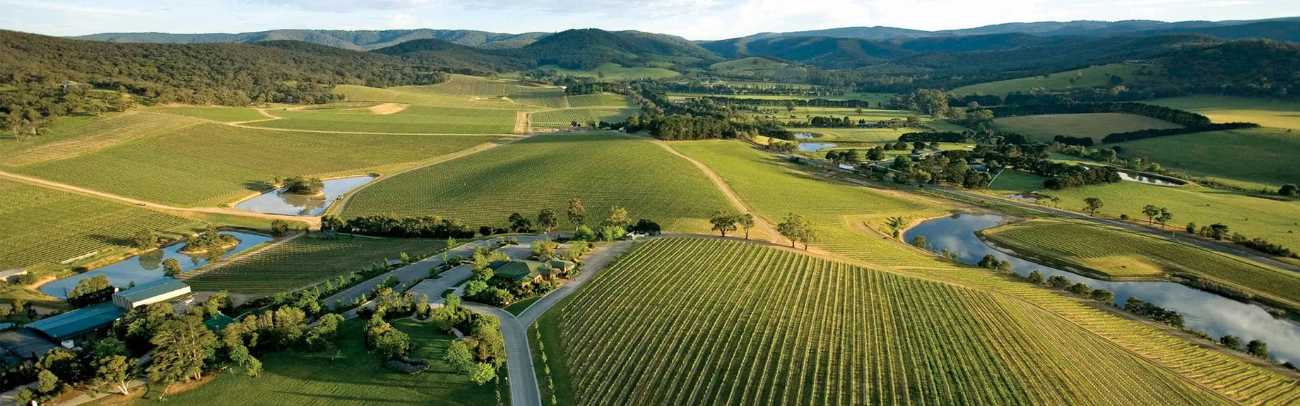 About: Yarra Valley Wine Region