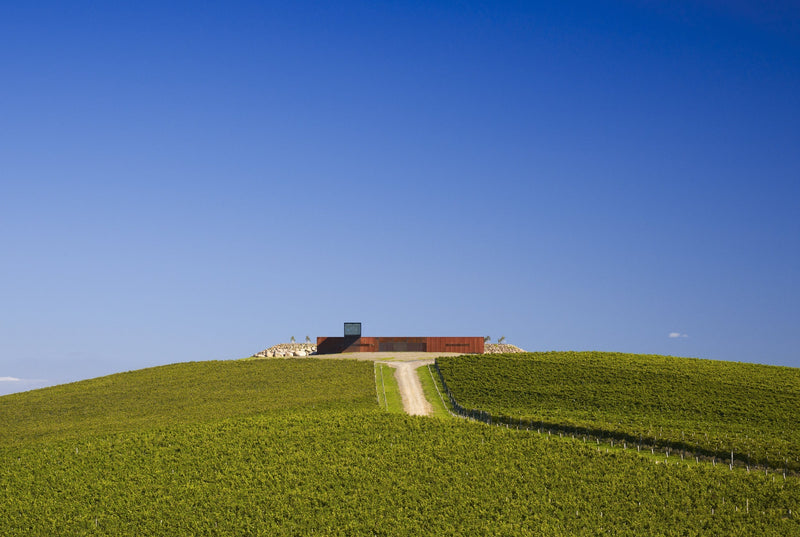 Denton Wines – A Unique Expression of the Yarra Valley