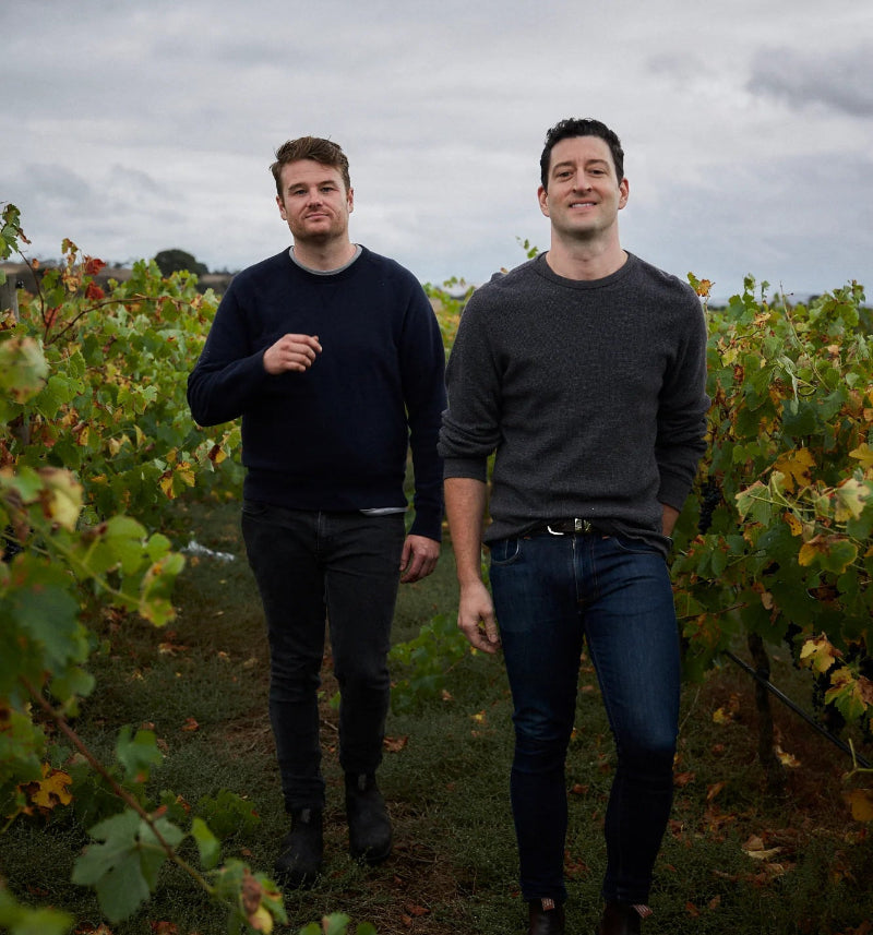 Two men standing in a vineyard with a cloudy sky.