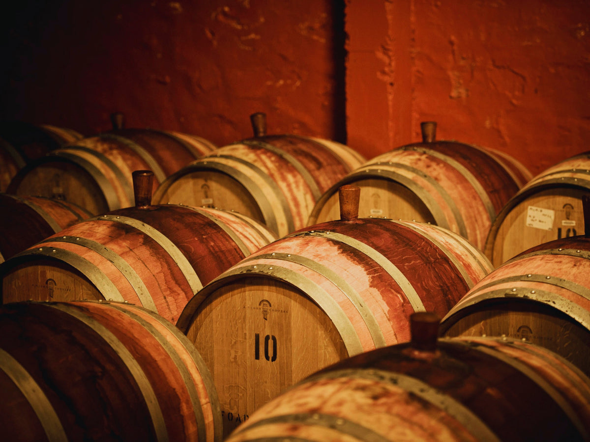 Penfolds St Henri 2023 wine photograph