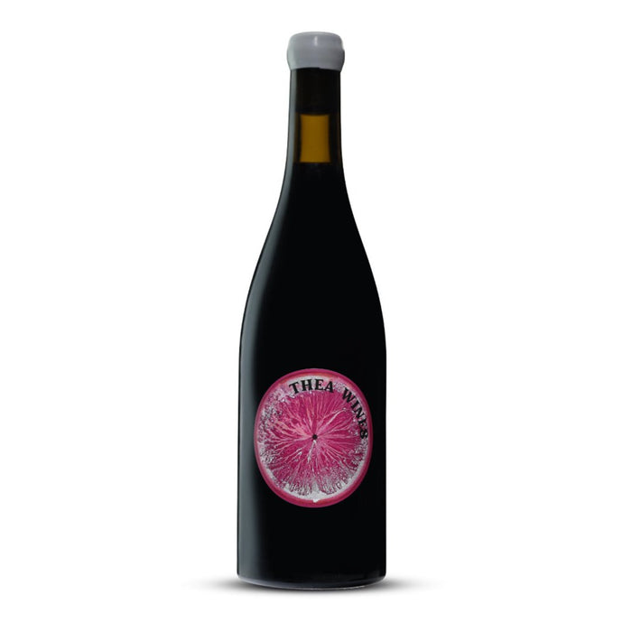 Thea Shiraz 2023